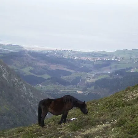 Apartment La Nana Del Mar / The Lullaby Of The Sea On Old Harbour *