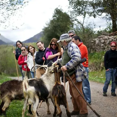 La Nana Del Mar / The Lullaby Of The Sea On Old Harbour Cudillero