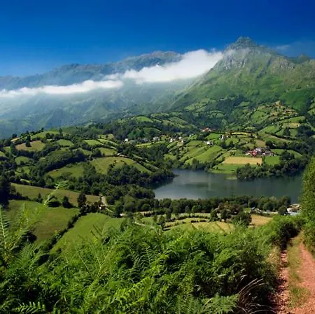 Apartment La Nana Del Mar / The Lullaby Of The Sea On Old Harbour *