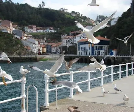 Apartment La Nana Del Mar / The Lullaby Of The Sea On Old Harbour